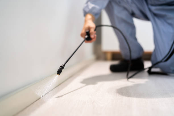 Professional exterminator conducting IPM assessment in Brandermill