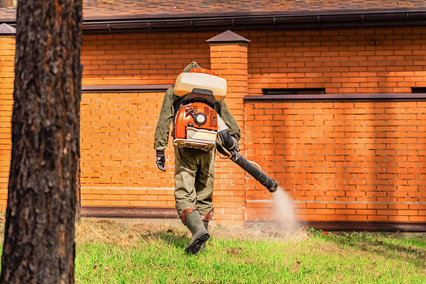 Top rated local Ant Control specialists in Brandermill, VA